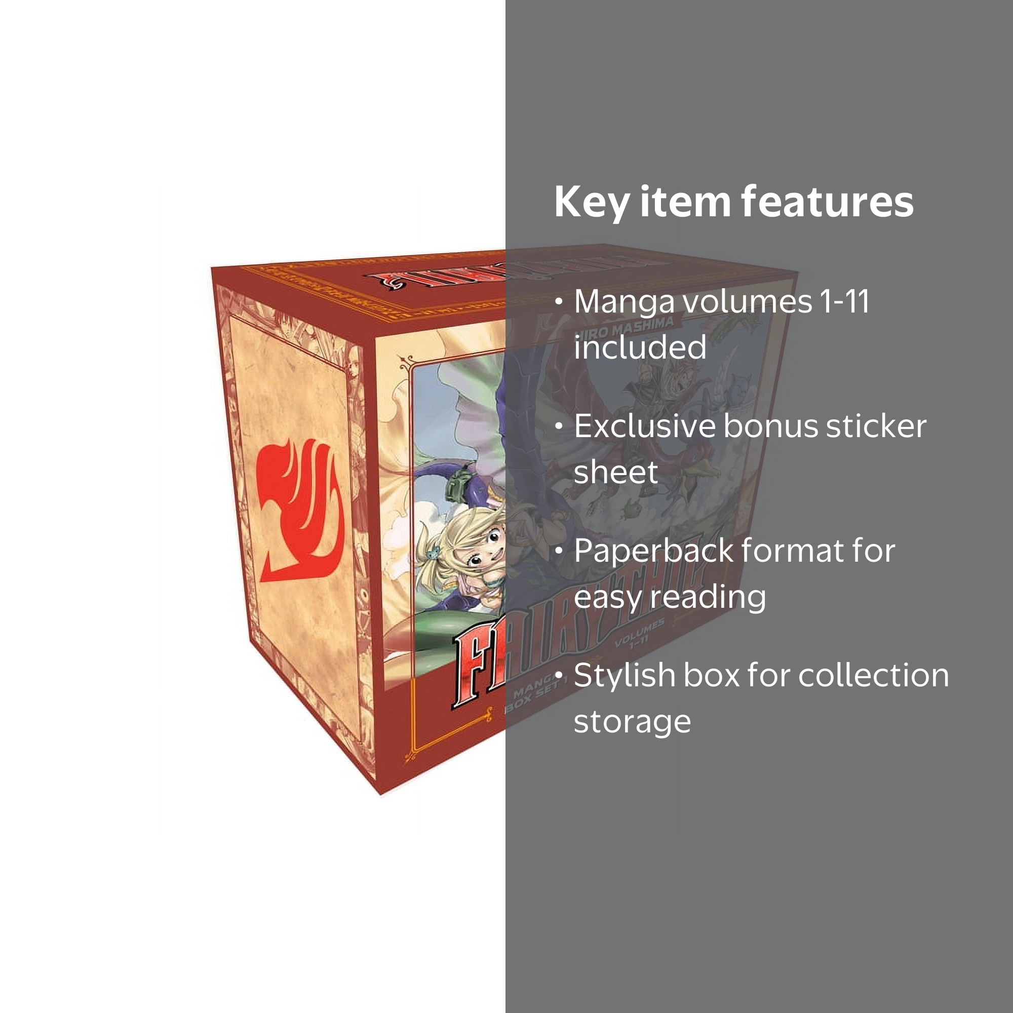 FAIRY TAIL Anime Manga Box Set 1 (Series #1) (Paperback) - Walmart.com