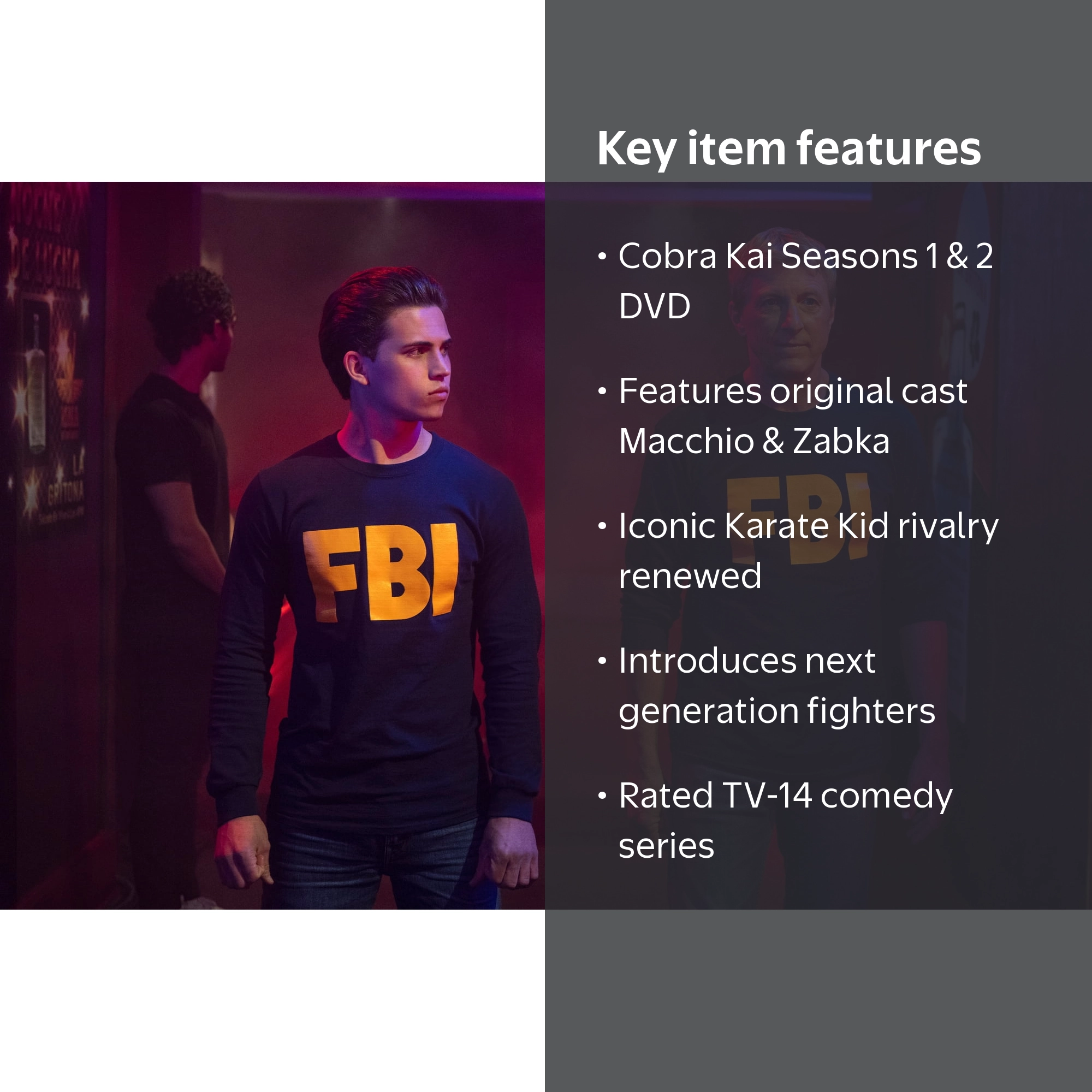 Sony Pictures Cobra Kai Complete Series: Seasons 1 & 2 DVD