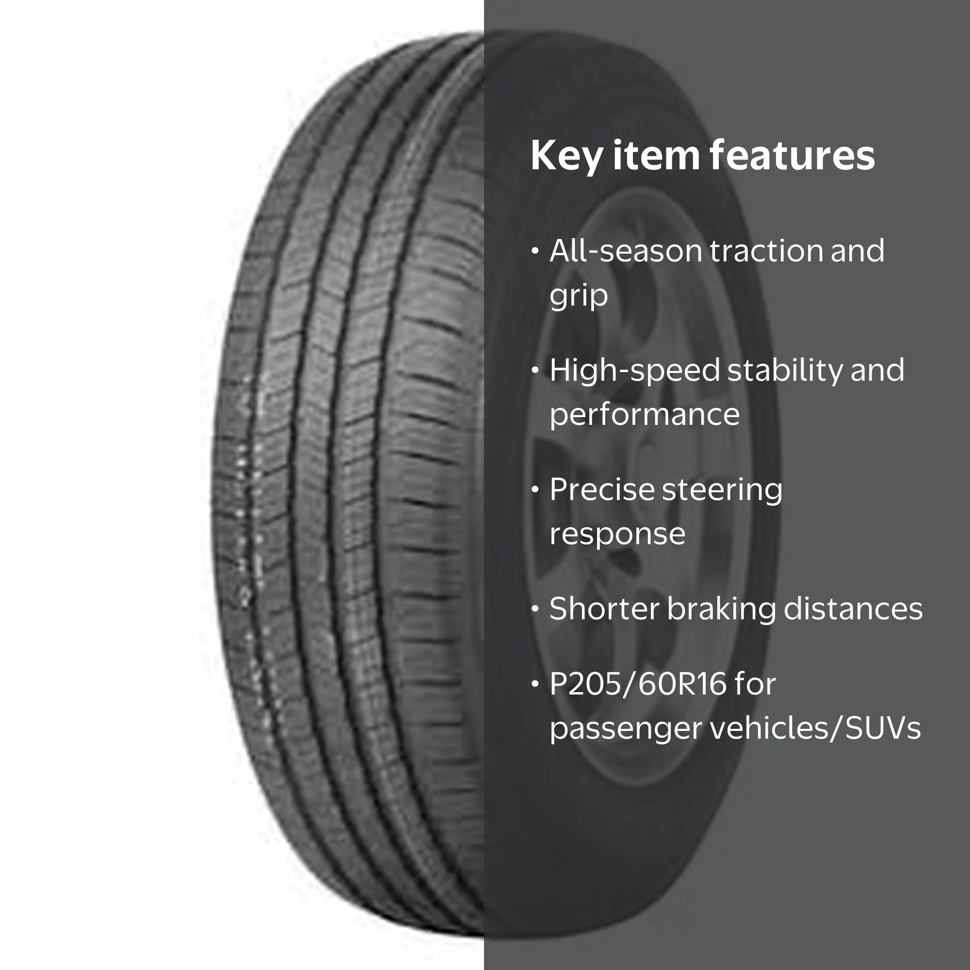 Evoluxx Capricorn HP All-Season Performance Tire, P205/60R16 92H