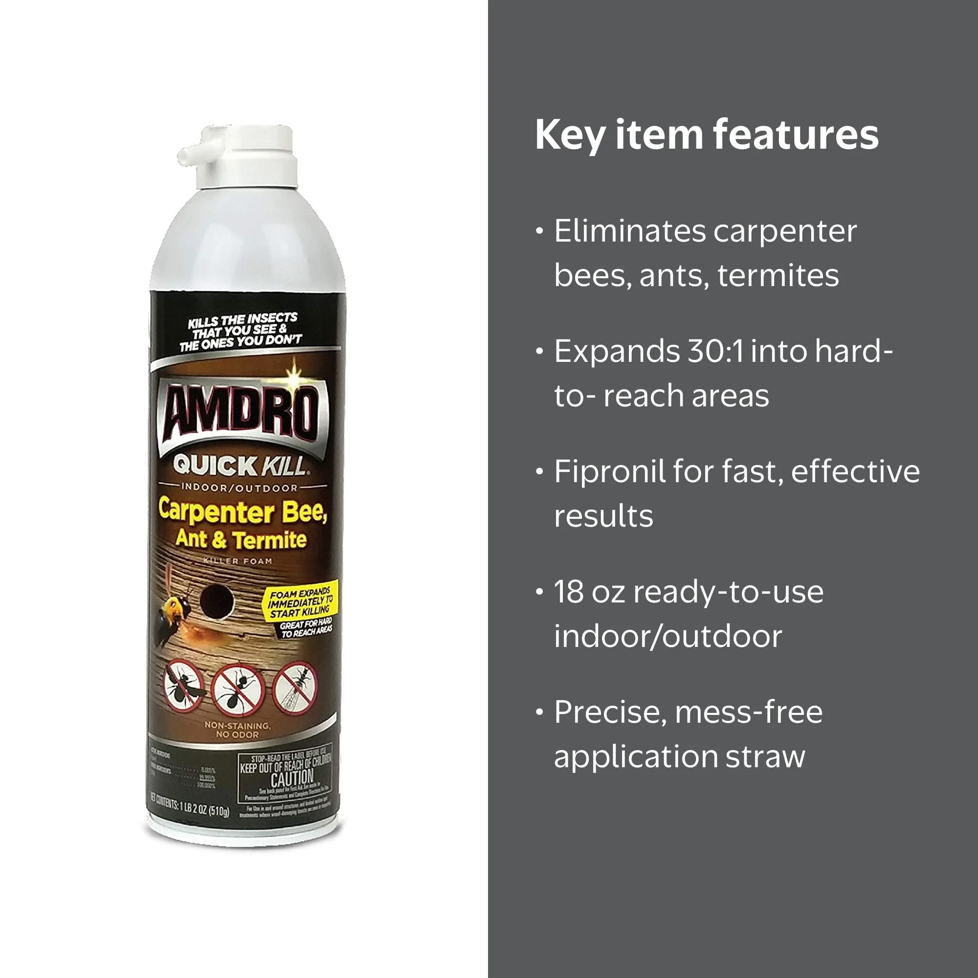 Amdro Quick Kill Carpenter Bee Ant and Termite Killer Foam