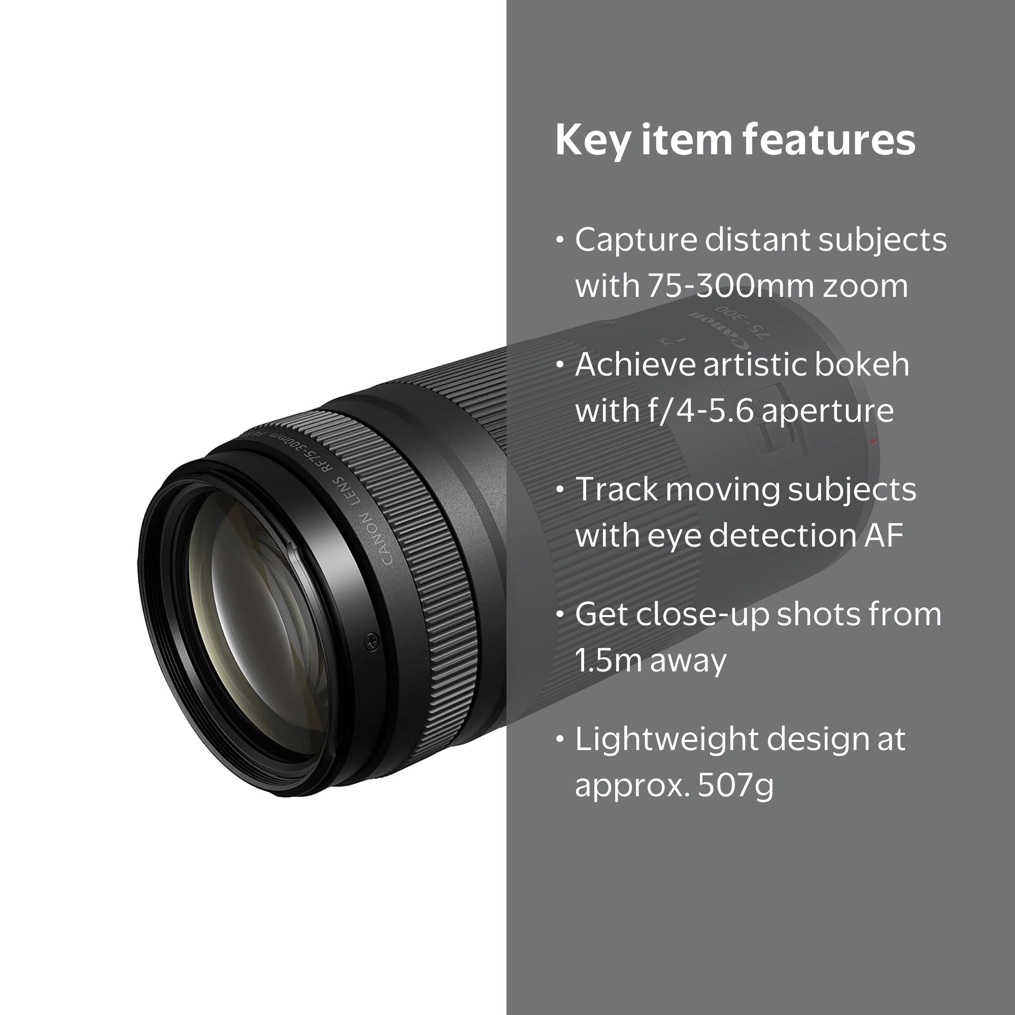 Canon RF 75-300mm F4-5.6 (International Version) - Walmart.com