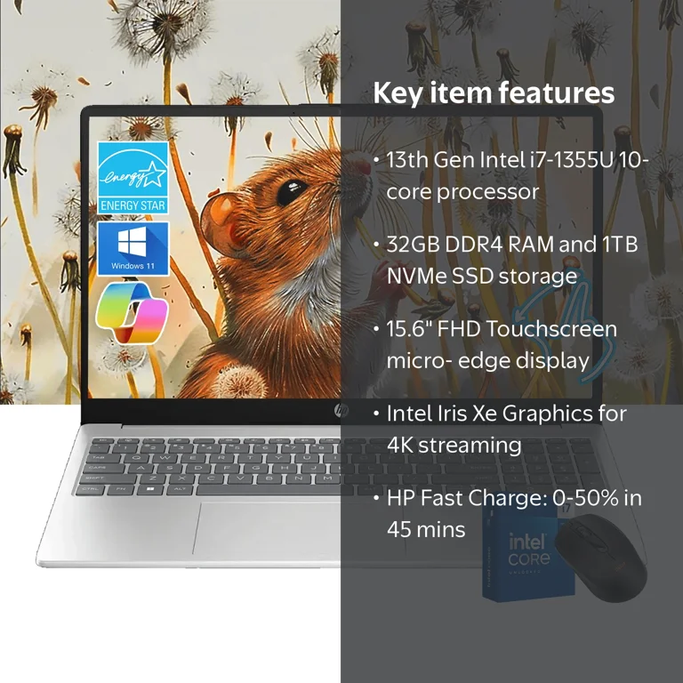 HP 15.6