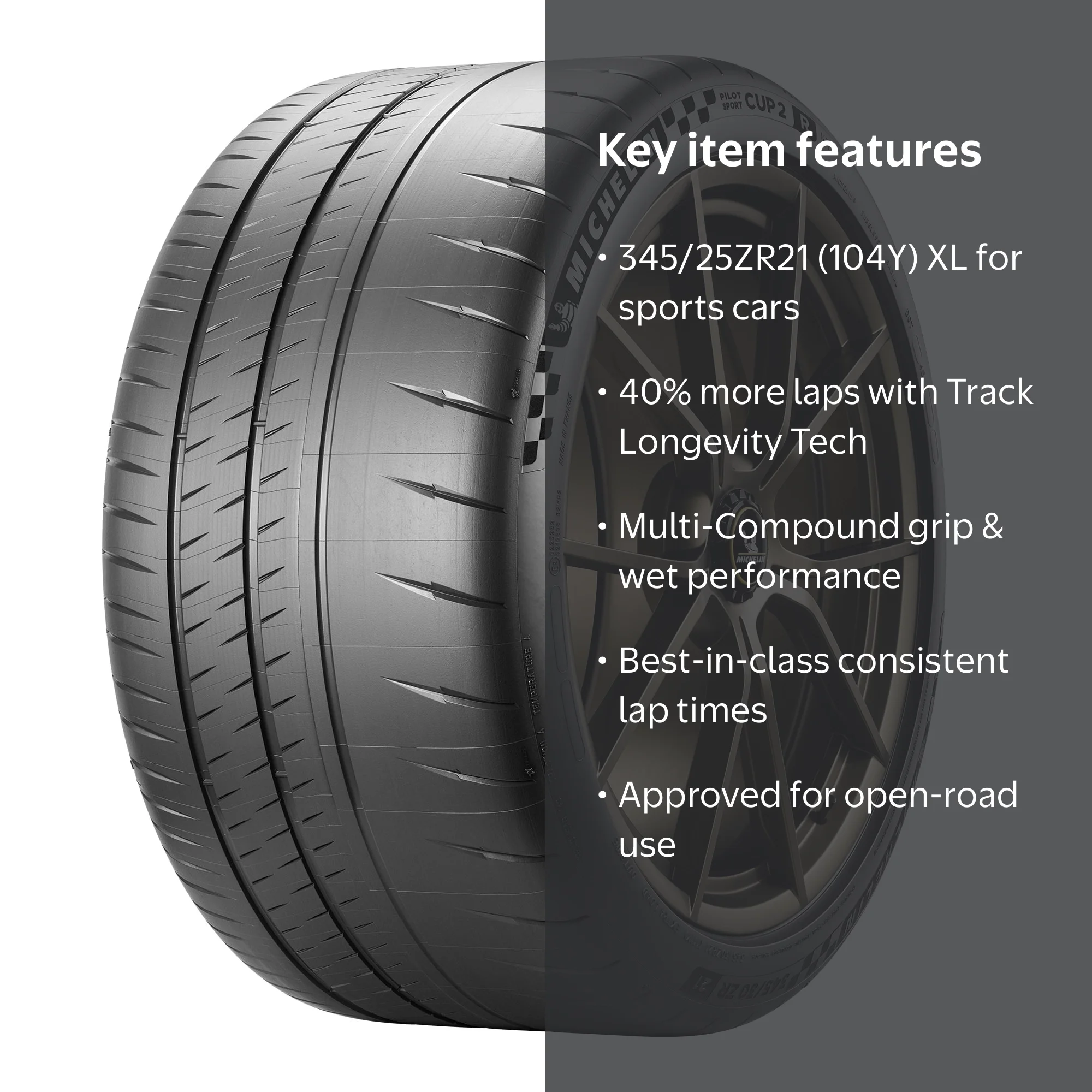 Michelin Pilot Sport Cup 2 R ZP RFT 345/25ZR21 (104Y) XL Tire