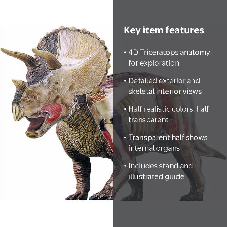 4D Vision Brand 4D Triceratops Anatomy Model - Walmart.com