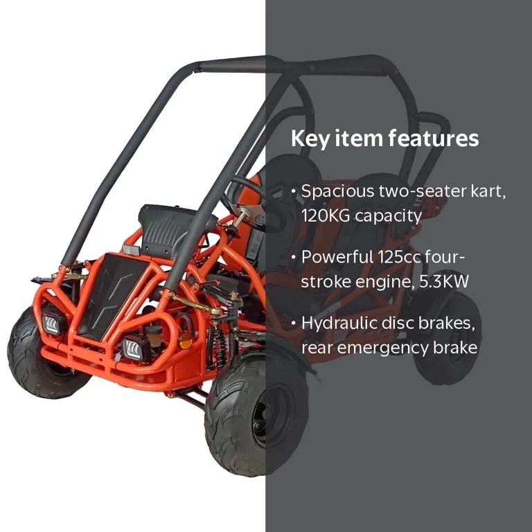 HHH Limited Edition 125cc Go Kart GKT125-9 Big Gokart with 3 Speed