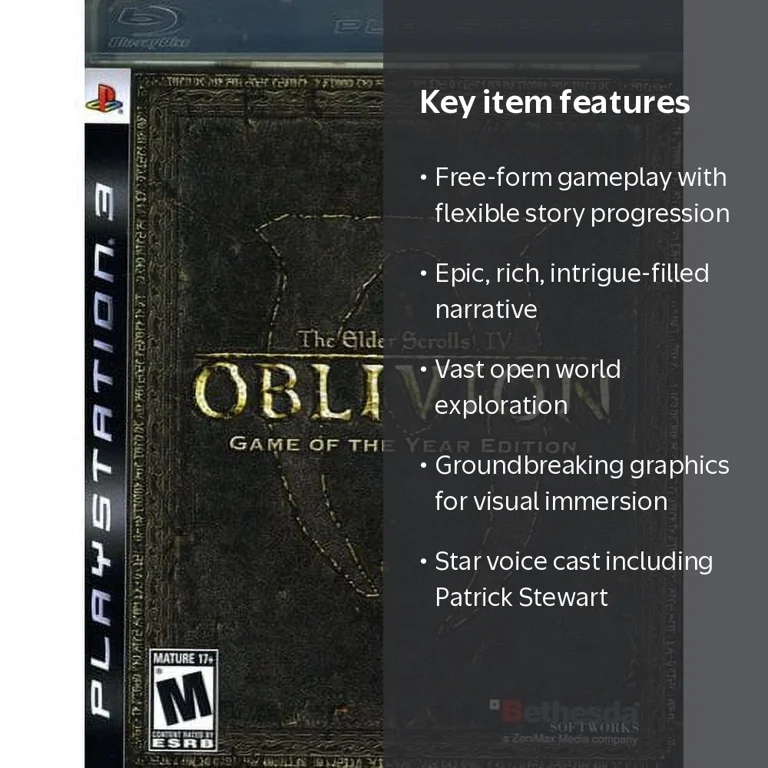 Bethesda Soft Works, The Elder Scrolls IV Oblivion Game of the