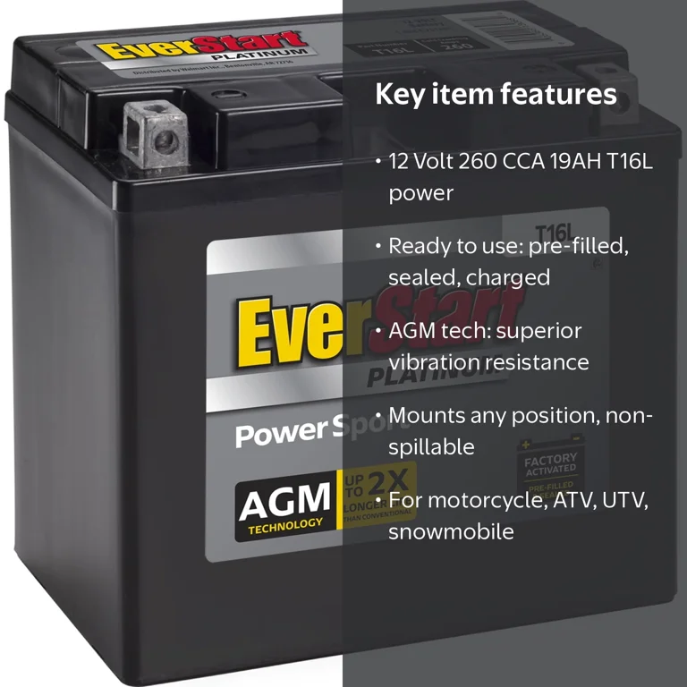 EverStart, Powersport Motorcycle ATV Battery, YTX16L-BS, 260 CCA