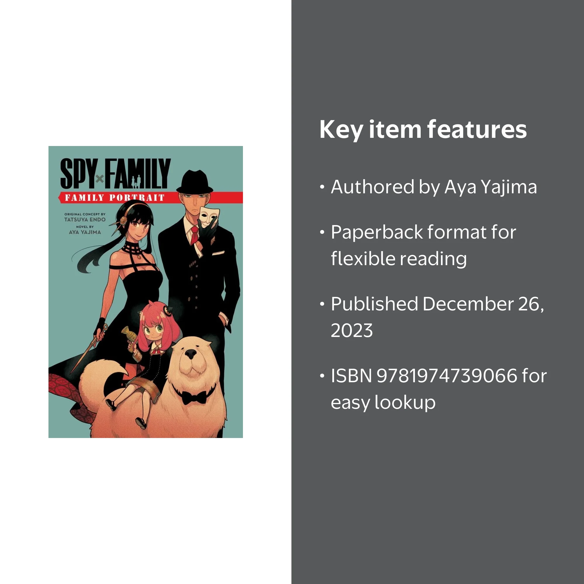 Spy X Family: Family Portrait (Paperback) - Walmart.com