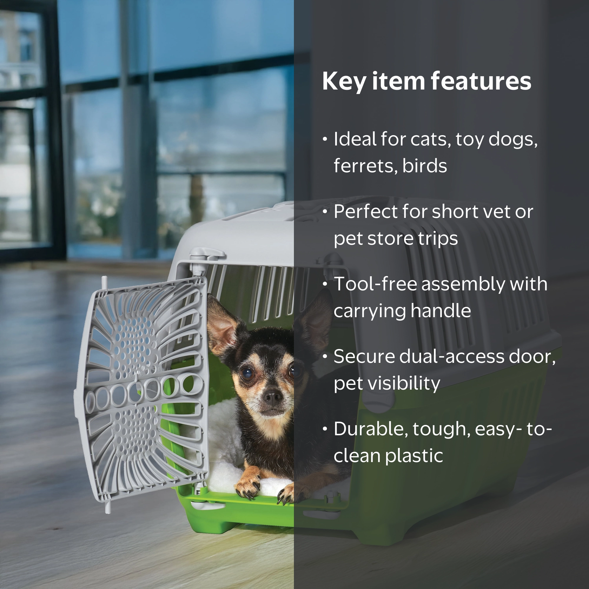MidWest Homes for Pets 19 inch Spree Travel Pet Carrier for Dog or