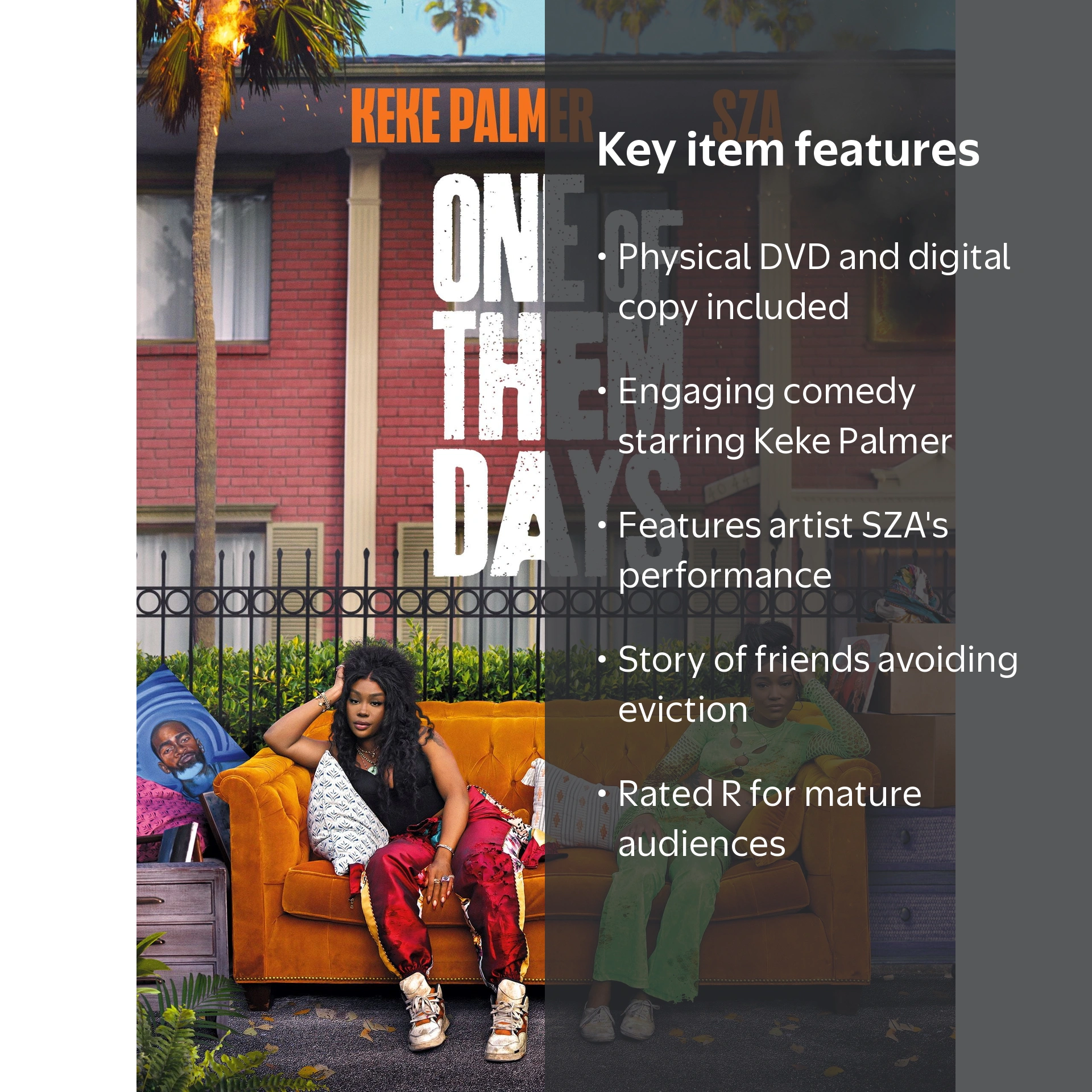 One Of Them Days (DVD + Digital Copy) Sony Comedy - Walmart.com
