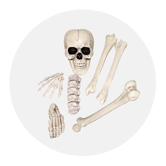 Squelettes d'Halloween