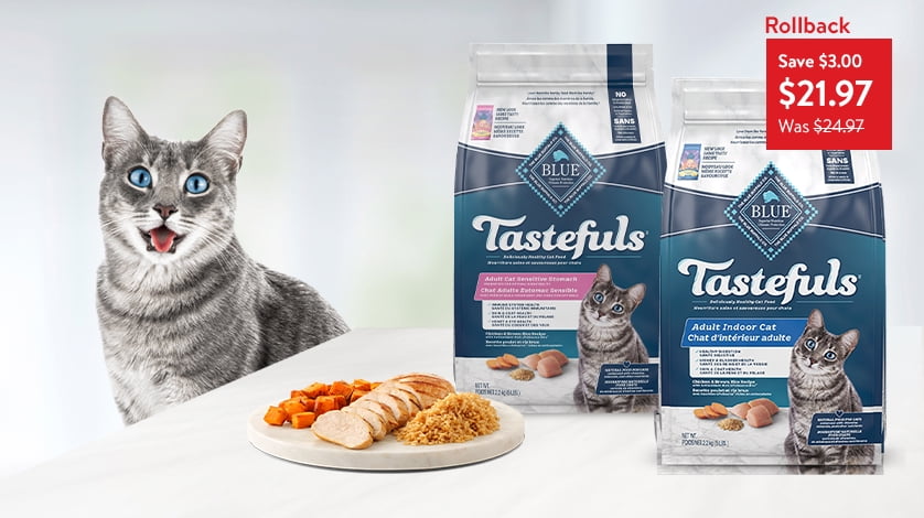 Dog supplies at walmart online