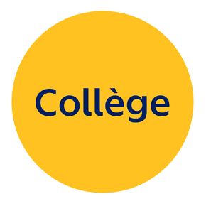 Cégep et université