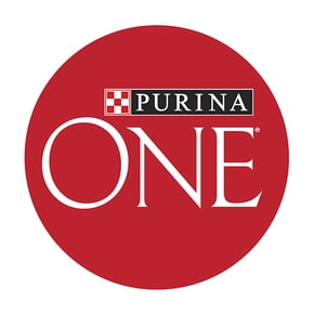 Purina One Wet