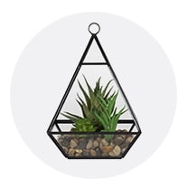 Terrariums