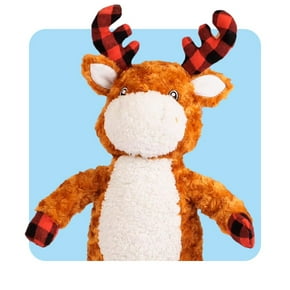 Jouets pour chiens