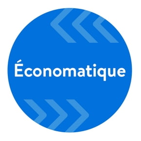 Économatique