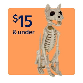 Halloween decor $15 and under