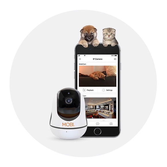 Smart pet cameras 