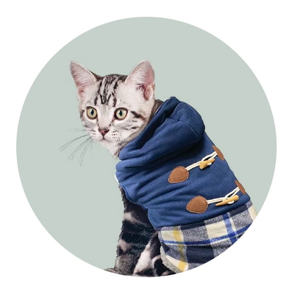 HSK_WMS_HBP-Pets_Holiday-CatJackets_20231103_E