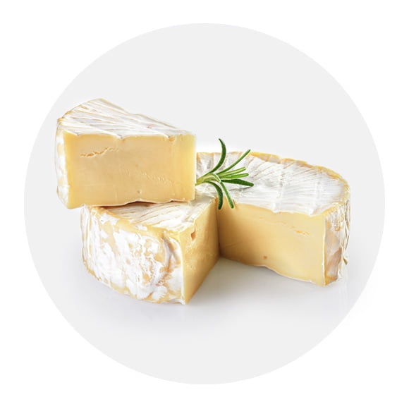 Brie et fromage à fondue