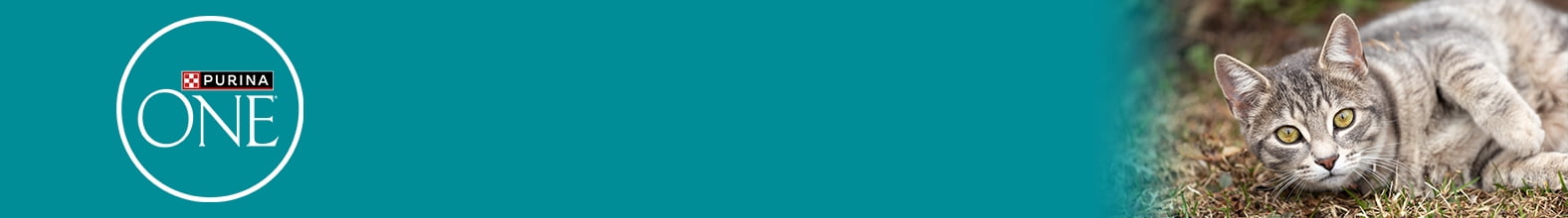 Shop by health need