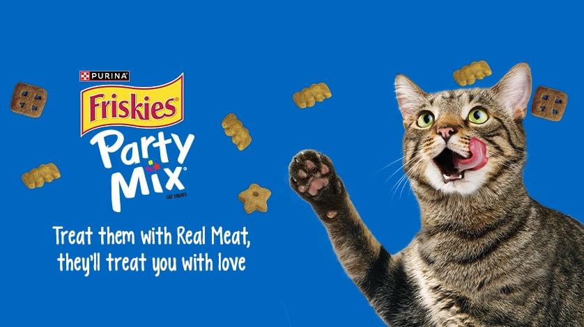 Friskies canada clearance
