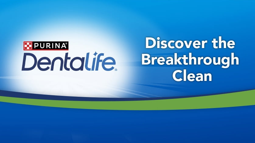 DentaLife Walmart Canada