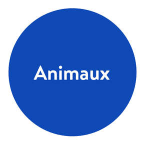 Cadeaux pour animaux