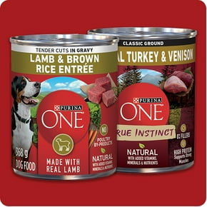 Wet dog food