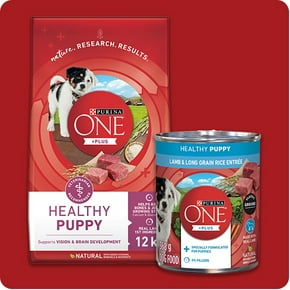 Puppy food
