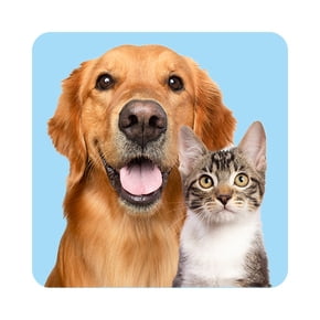 Animalerie