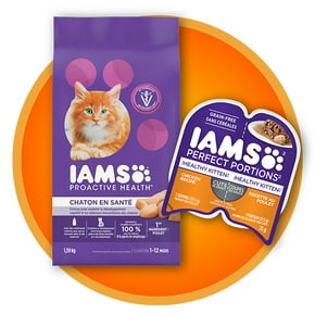 Nourriture pour chatons