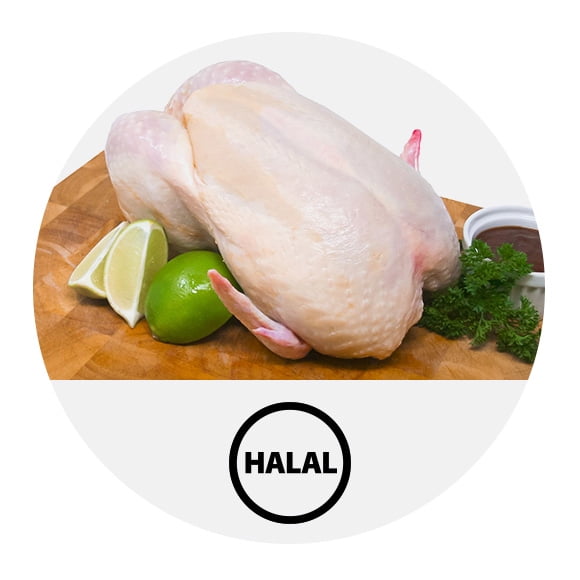 Poulet halal