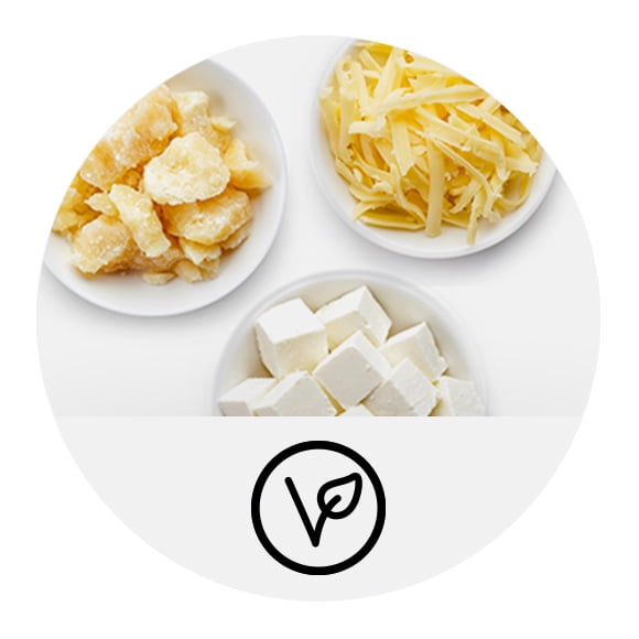 Vegan & dairy-free cheese