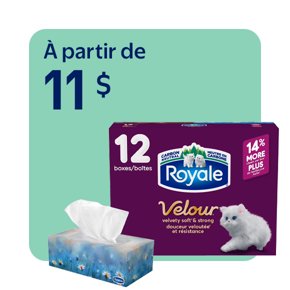 Essentiels pour enseignants