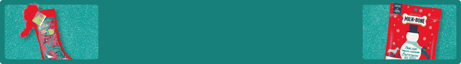 SKB_HBP-Pets_HolidayExperience-Gifts_20231031-Desk_E.png