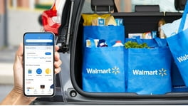 Walmart Grocery Delivery Service - Order Online