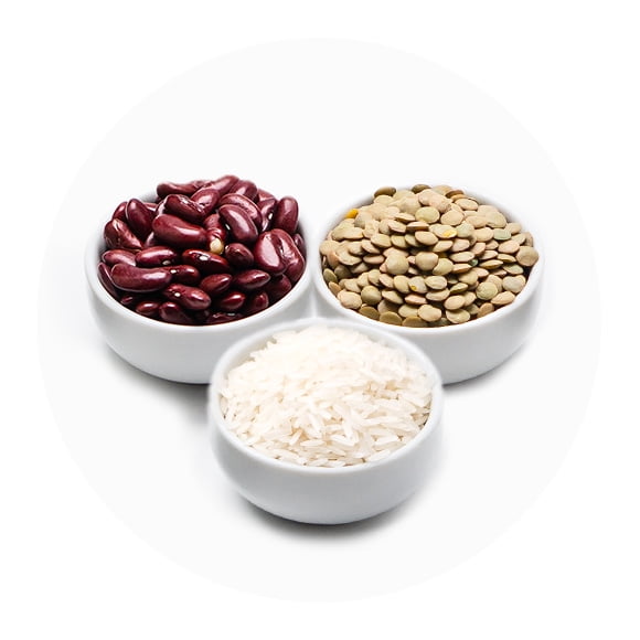 Dals, riz et haricots