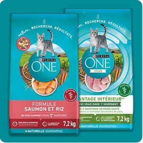 Nourriture sèche – chat