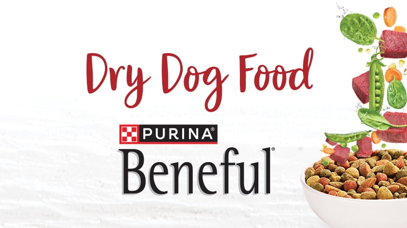 Purina beneful dog food walmart online