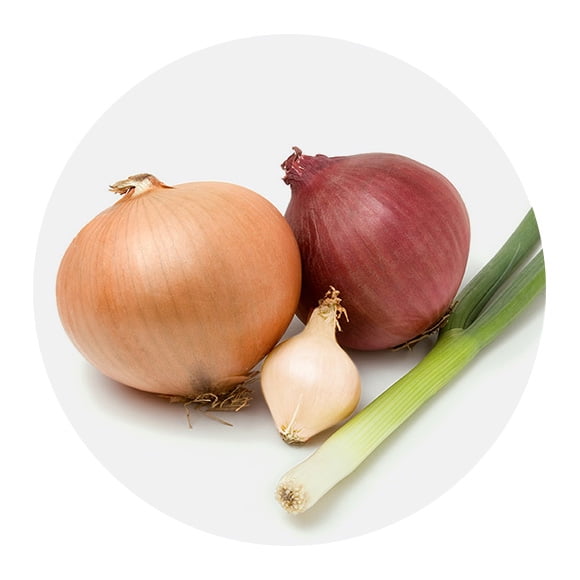 Onions & leeks