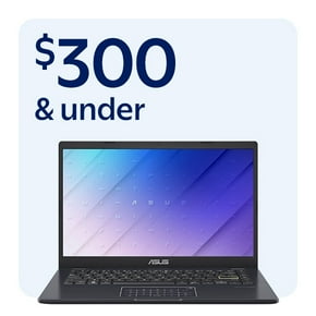 Laptops $300 & under