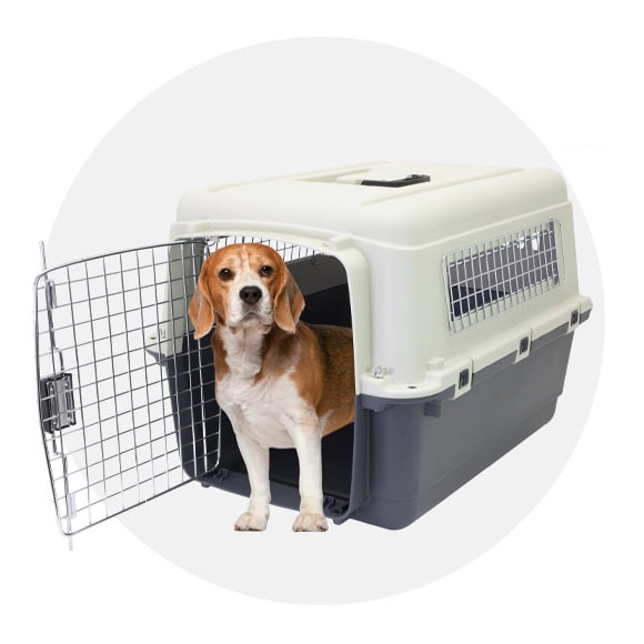 Dog Housing Dog Kennels Crates Houses Walmart Canada