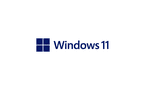 Windows 11
