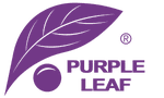 Purple Leaf