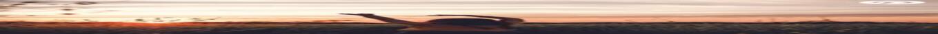 Desktop_POV_Banner