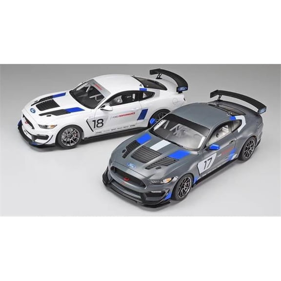 0.041 Ford Mustang GT4 Model Kit