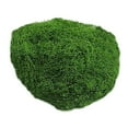 thumbnail image 1 of 0.07lb Artificial Moss for Planters Fresh Green Fake Moss Décor for Potted Plants Crafts Floral Centerpieces Wedding Garden, Dark Green, Artificial Plants and Flowers, 1 of 9