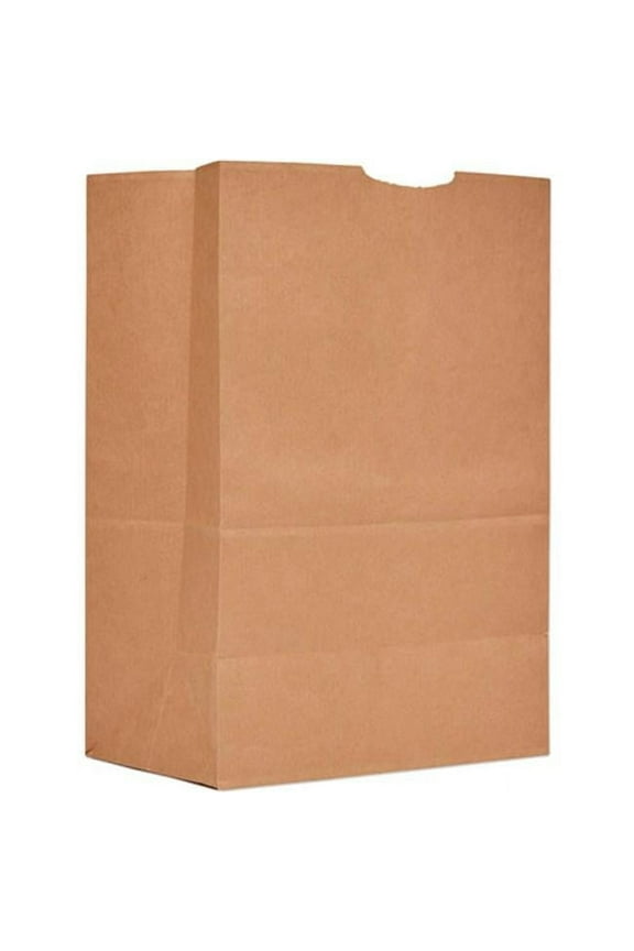 0.16 BBL, Kraft Paper Grocery Bags - 12 x 7 x 17 in. - Pack of 500
